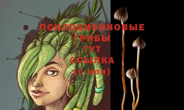 прущие крисы Армянск