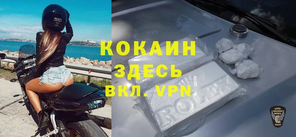 прущая мука Арсеньев